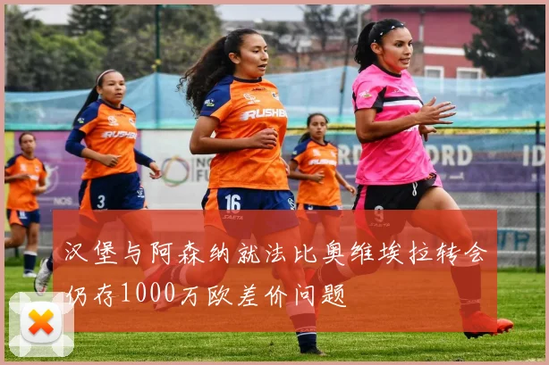 汉堡与阿森纳就法比奥维埃拉转会仍存1000万欧差价问题